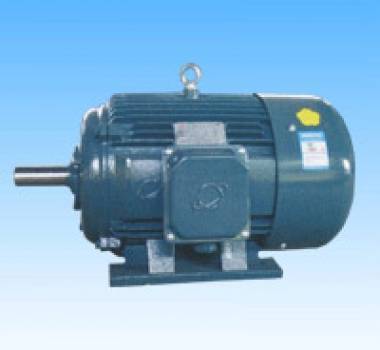 YD、YDT~315系列變極多速三相異步電動機(jī)，東莞環(huán)球電機(jī)廠