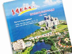 度假村20周年刊畫冊設計