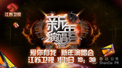 2014-2015策劃江蘇衛(wèi)視新年演唱會全國關(guān)注